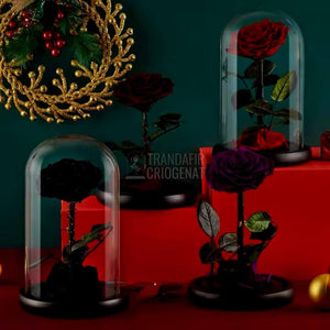 Trandafir Criogenat rosu inchis in cupola de sticla, cu mesaj personalizat - Trandafir - Criogenat.ro