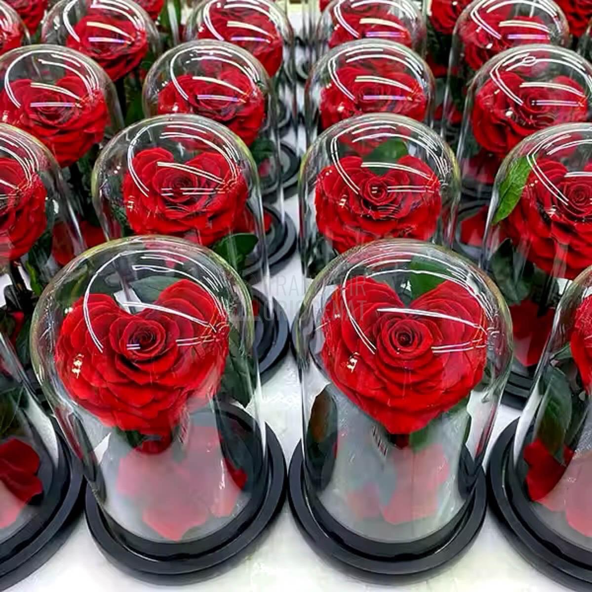 Trandafir Criogenat rosu inima mare in cupola de sticla, cu mesaj scris - Trandafir - Criogenat.ro