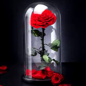 Trandafir Criogenat rosu mare Bonita cu dia. 9,5cm in cupola sticla 12x25cm - Trandafir - Criogenat.ro