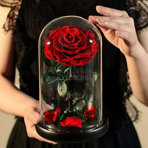 Trandafir Criogenat rosu mare in cupola de sticla, cu mesaj personalizat - Trandafir - Criogenat.ro