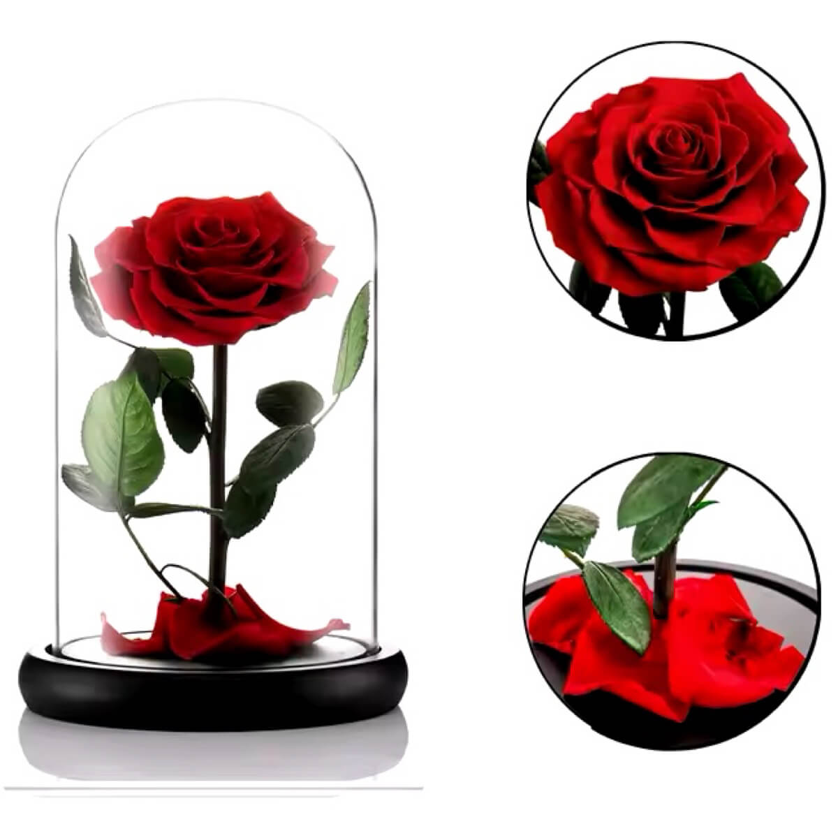 Trandafir Criogenat rosu premium in cupola sticla, mesaj personalizat scris - Trandafir - Criogenat.ro