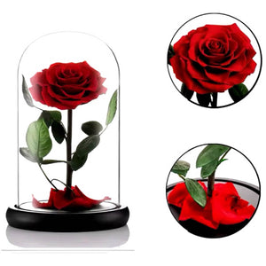 Trandafir Criogenat rosu premium in cupola sticla, mesaj personalizat scris - Trandafir - Criogenat.ro