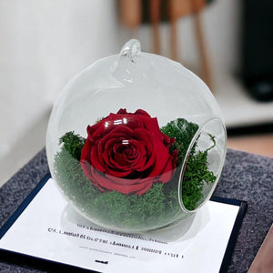 Trandafir Criogenat Roșu XL În Glob De Sticlă Elegant Livrare Rapidă În 24 Ore - Trandafir - Criogenat.ro