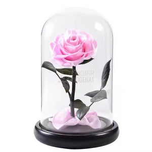 Trandafir Criogenat roz bella in cupola de sticla 10x20cm, cu mesaj - Trandafir - Criogenat.ro