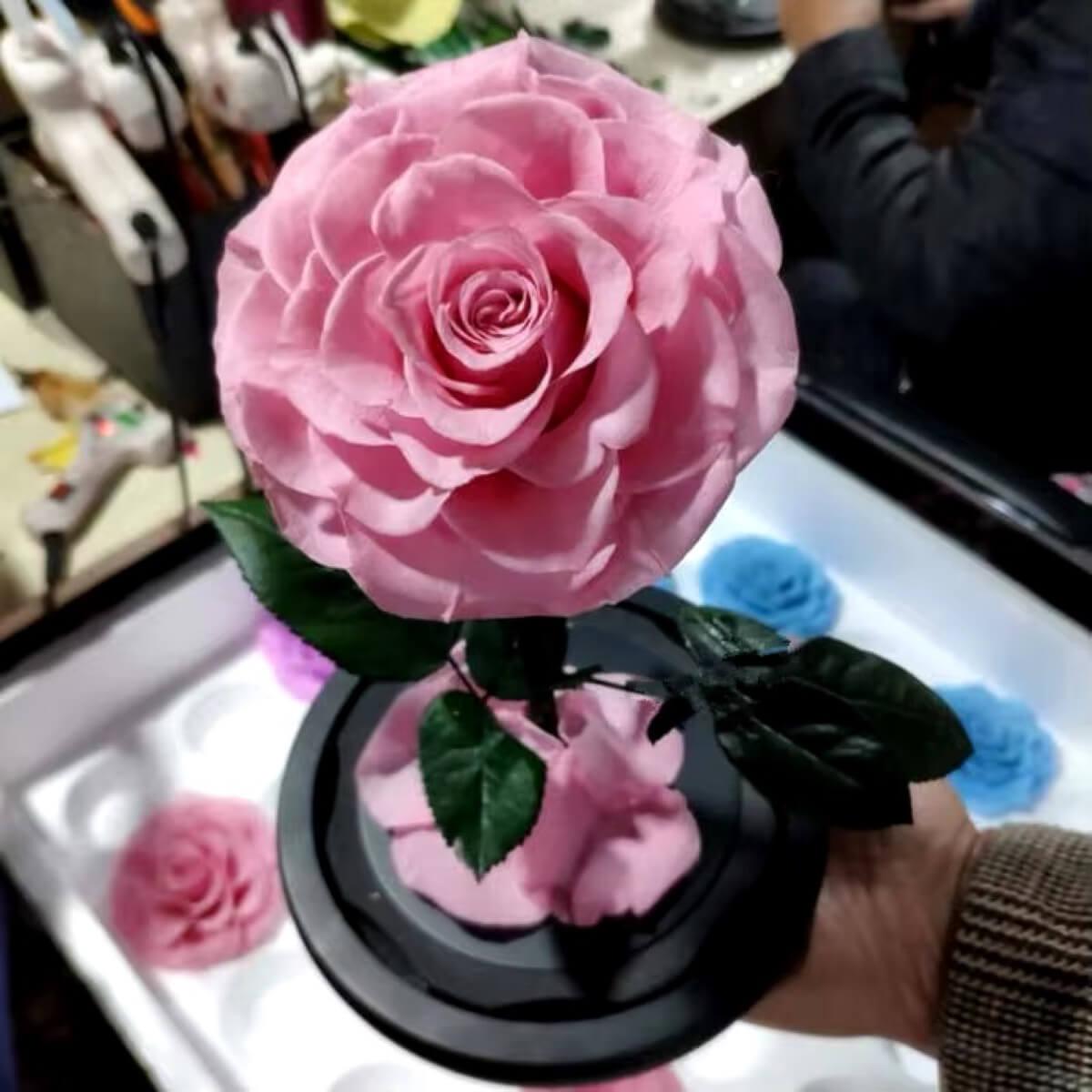 Trandafir Criogenat Roz Bonita În Cupolă De Sticlă Cadou Nemuritor 9,5 Cm - Trandafir - Criogenat.ro
