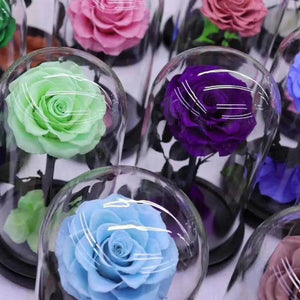 Trandafir Criogenat Roz de Lux în Cupola de Sticlă 12x25cm Cadou Elegant - Trandafir - Criogenat.ro