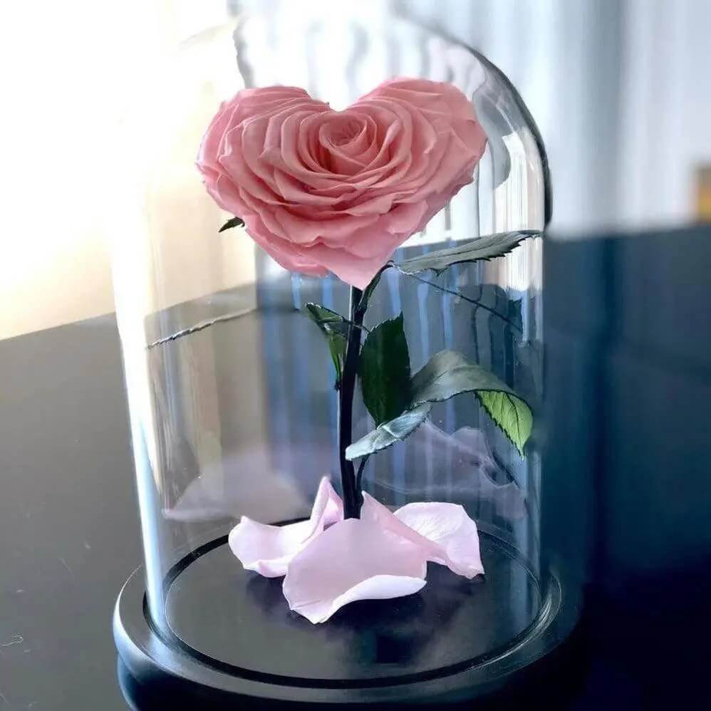 Trandafir Criogenat Roz Inimă Cupolă din Sticlă 9 cm Cadou Ideal pentru Femei - Trandafir - Criogenat.ro
