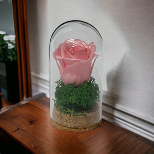 Trandafir Criogenat Roz Pal In Cupolă Elegantă Cadou Special Pentru Momente - Trandafir - Criogenat.ro