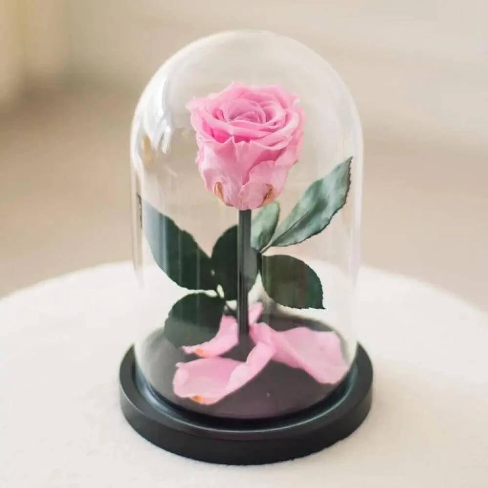 Trandafir Criogenat Roz XL În Cupolă De Sticlă Cu Mesaj Personalizat Elegant - Trandafir - Criogenat.ro
