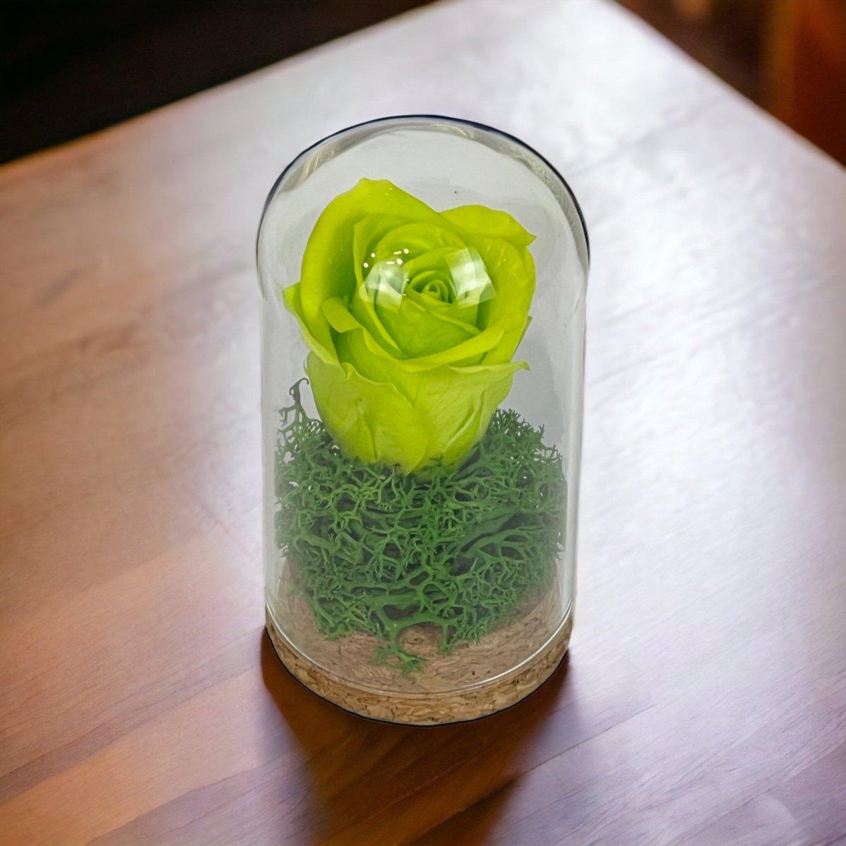 Trandafir Criogenat Verde În Cupolă De Sticlă 5x9,5 Cm Cadou Elegant Premium - Trandafir - Criogenat.ro