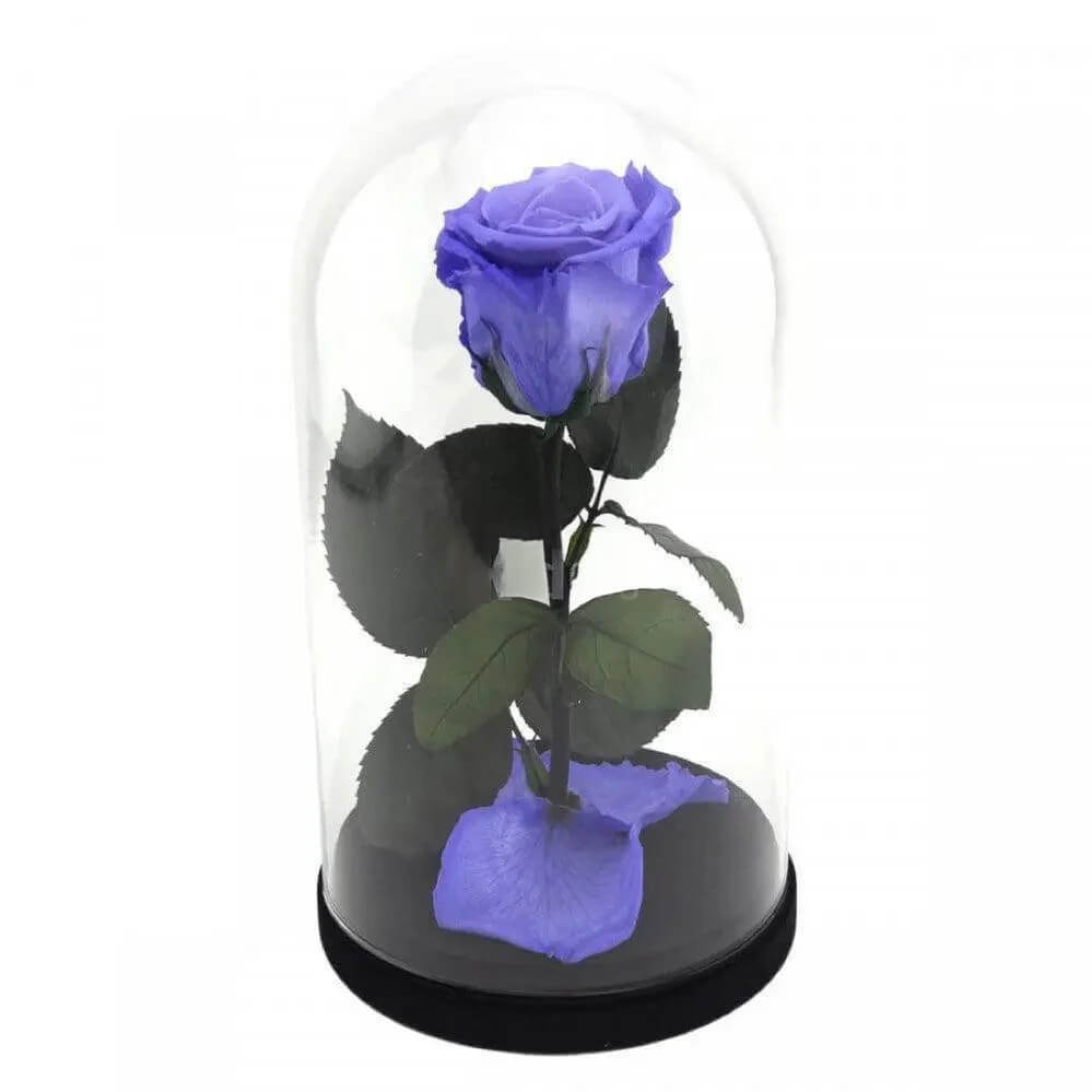 Trandafir Criogenat Violet XL În Cupolă De Sticlă Cadoul Ideal Pentru Iubirea Ta - Trandafir - Criogenat.ro