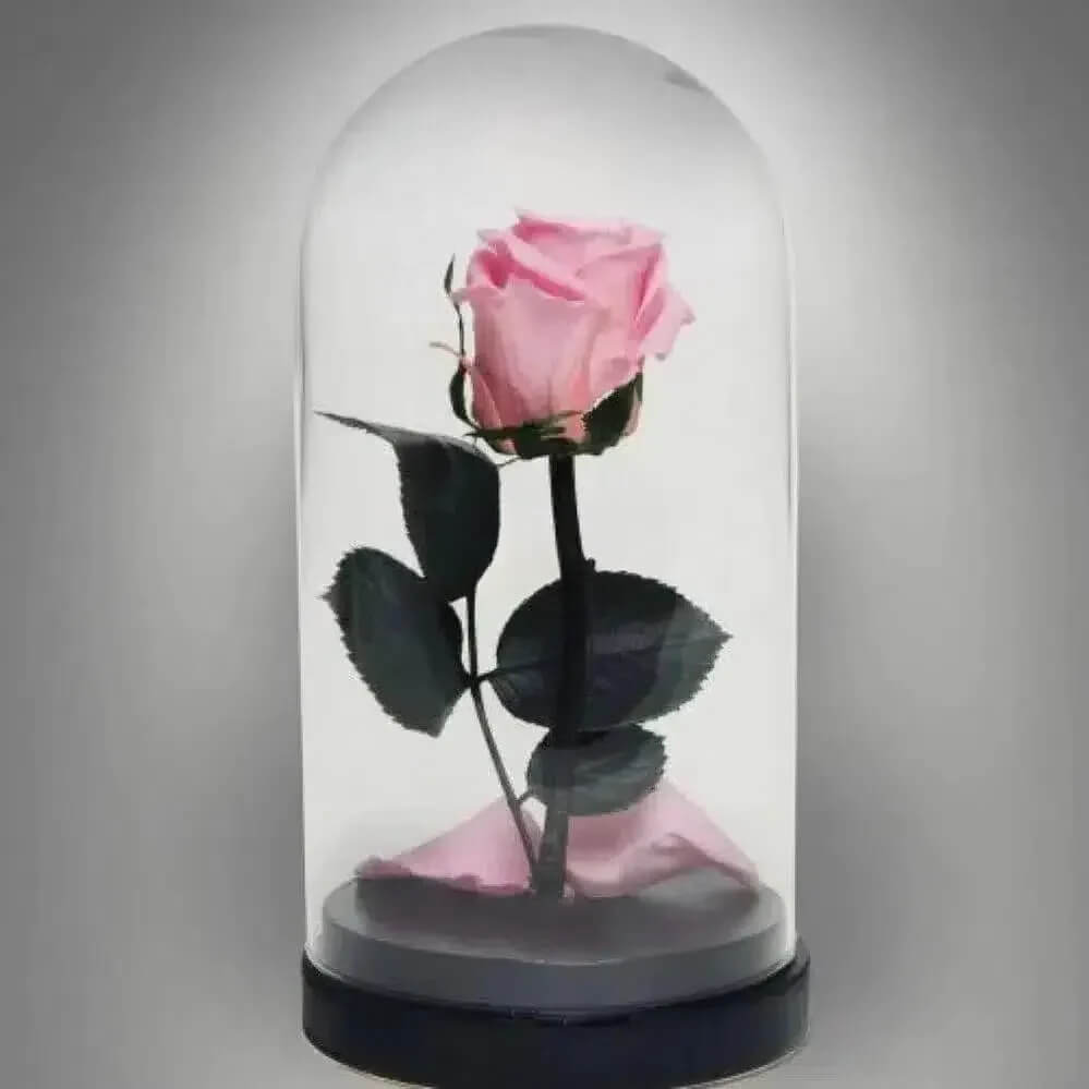 Trandafir Criogenat XL Roz În Cupolă De Sticlă Cadou Ideal Pentru Ocazii - Trandafir - Criogenat.ro