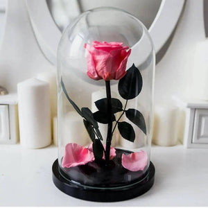 Trandafir Criogenat XL Somon Deschis În Cupolă De Sticlă Elegantă Ø6,5cm Cadou - Trandafir - Criogenat.ro