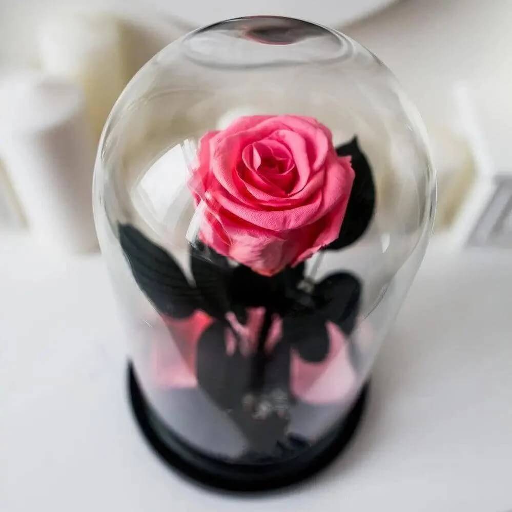 Trandafir Criogenat XL Somon Deschis În Cupolă De Sticlă Elegantă Ø6,5cm Cadou - Trandafir - Criogenat.ro