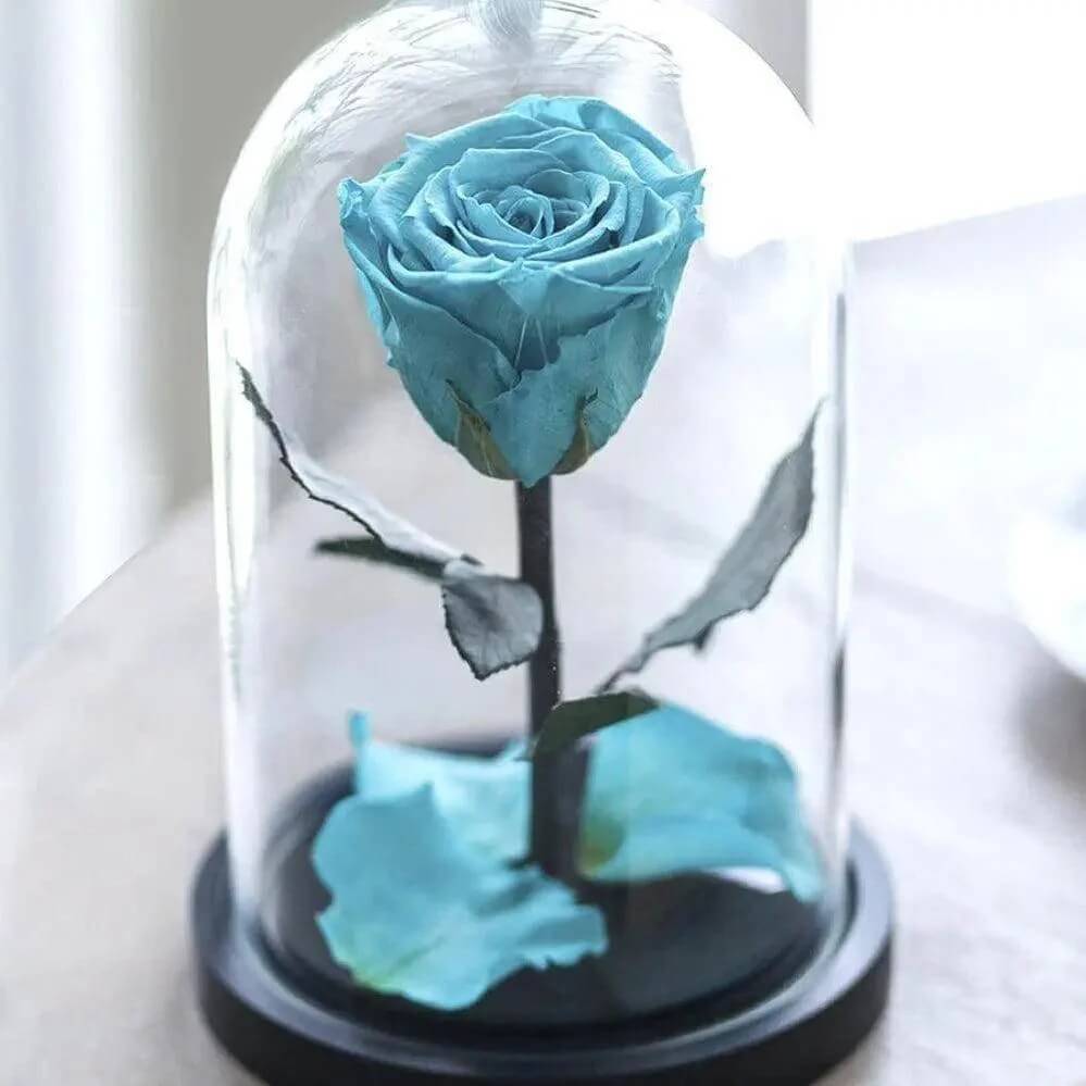 Trandafir Criogenat XL Turcoaz în Cupolă de Sticlă Cadou pentru Persoana Dragă - Trandafir - Criogenat.ro