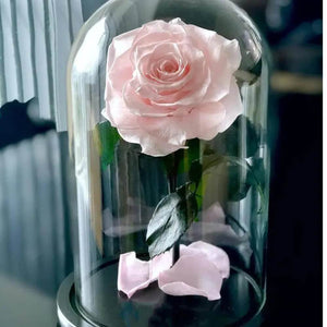 Trandafir Criogenat XXL Roz Pal In Cupola De Sticla Cadou Pentru Femei Iubite - Trandafir - Criogenat.ro