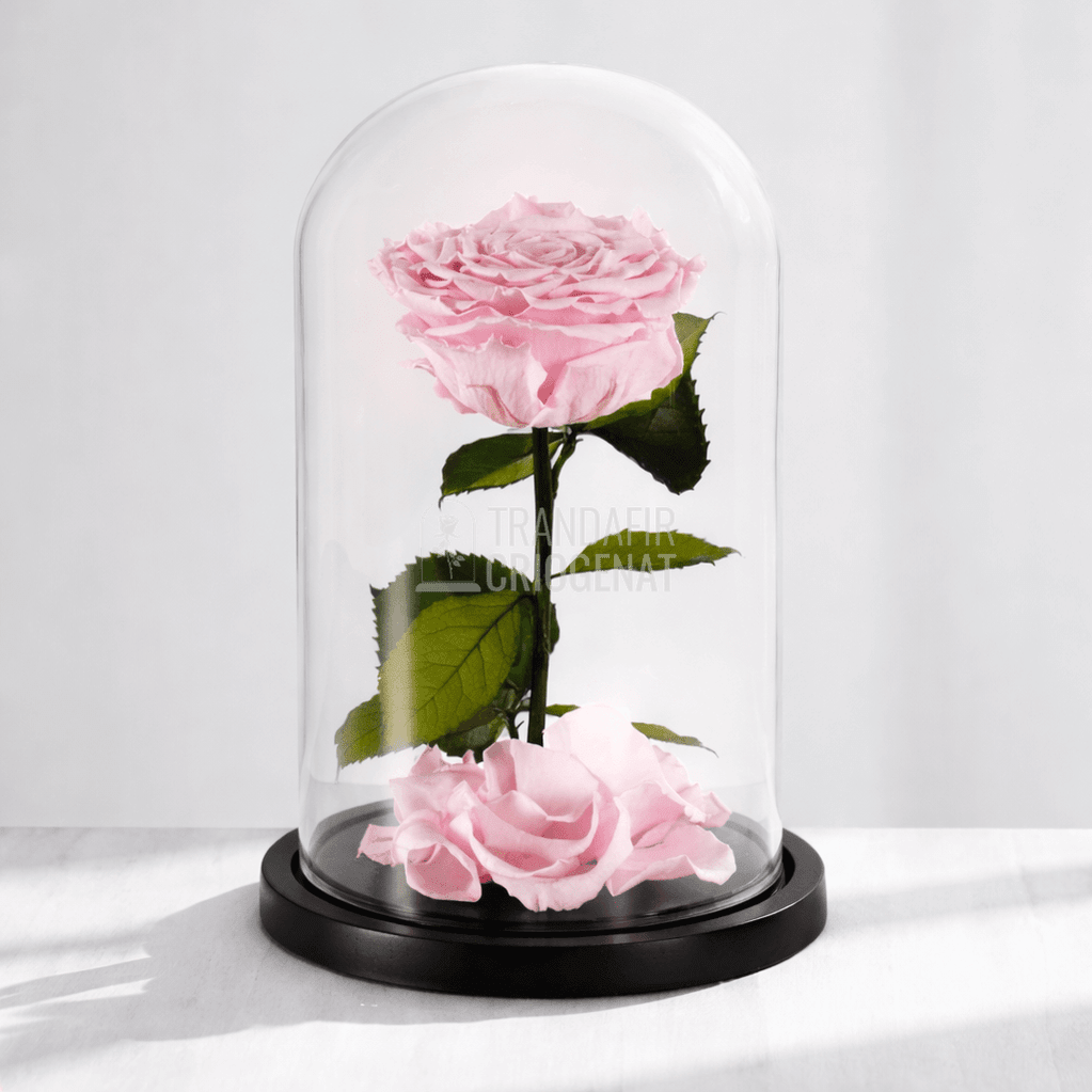 Trandafir Criogenat XXL Roz Pal În Cupolă De Sticlă Cu Mesaj Personalizat Cadou Iubita - Trandafir - Criogenat.ro