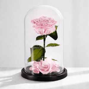 Trandafir Criogenat XXL Roz Pal În Cupolă De Sticlă Cu Mesaj Personalizat Cadou Iubita - Trandafir - Criogenat.ro