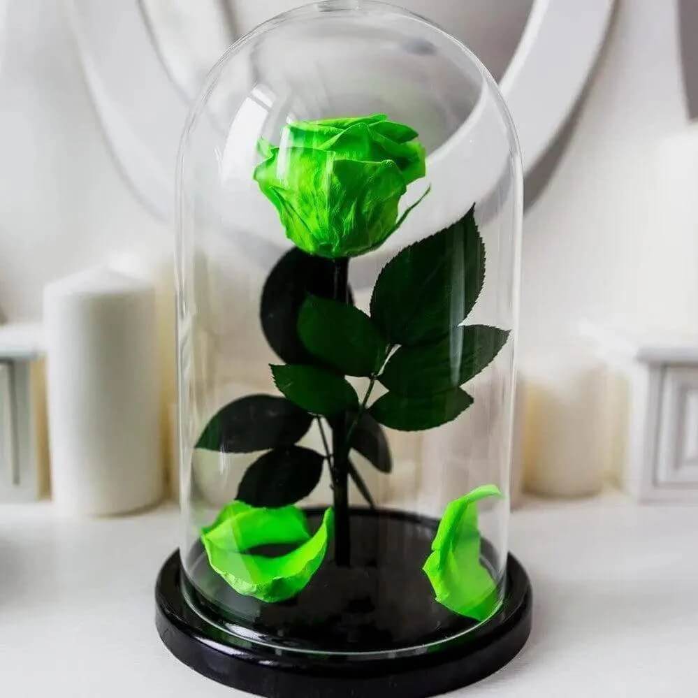 Trandafir Nemuritor Criogenat Verde Deschis XL Cupolă Sticlă 6,5 cm Cadou Ideal - Trandafir - Criogenat.ro