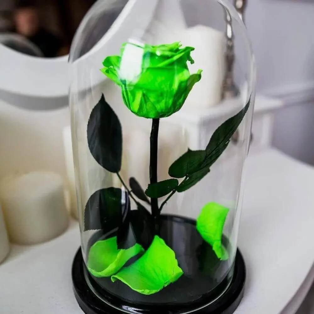 Trandafir Nemuritor Criogenat Verde Deschis XL Cupolă Sticlă 6,5 cm Cadou Ideal - Trandafir - Criogenat.ro