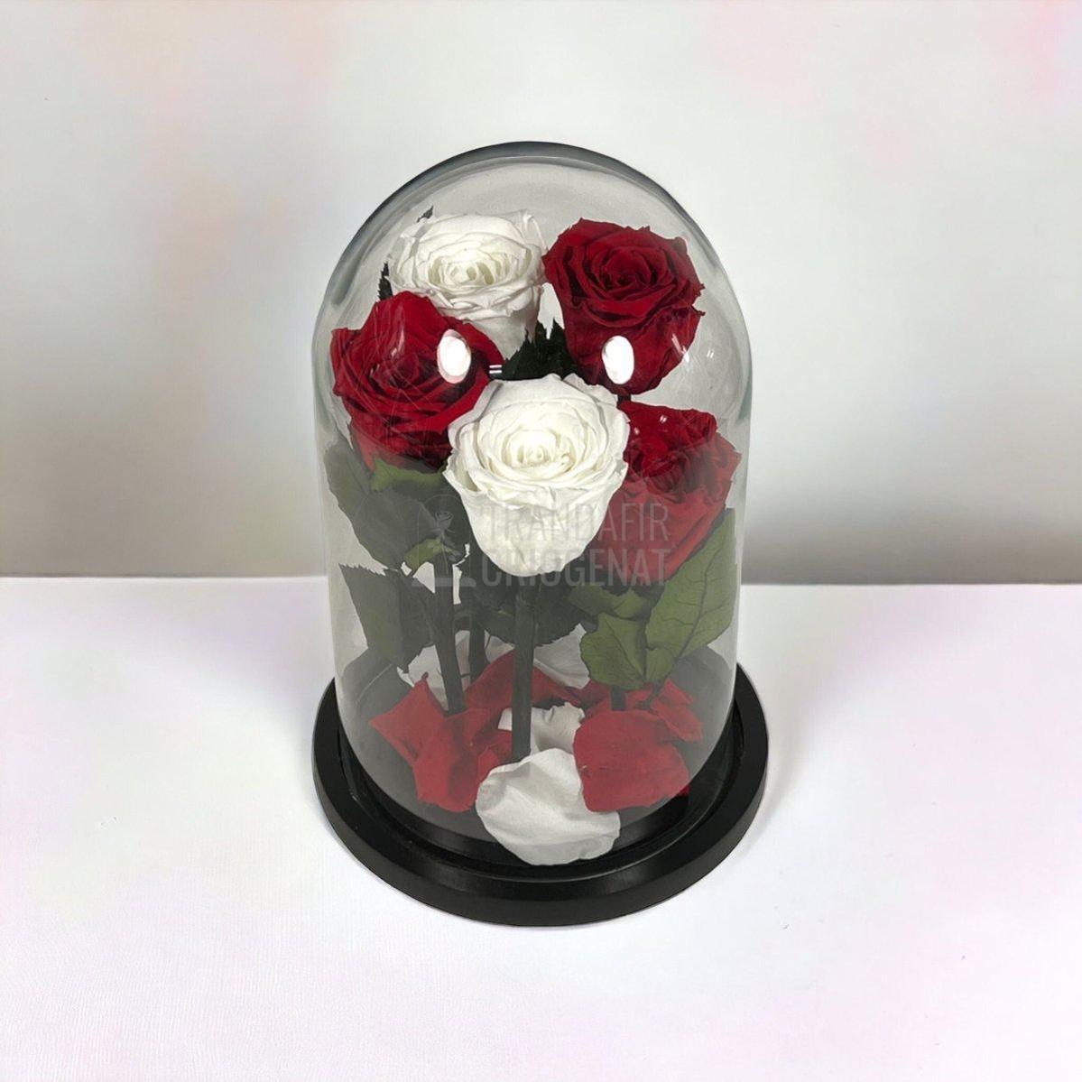 Trandafiri Criogenati In Cupola De Sticla 2 Albi Si 3 Rosii Cadou Elegant - Trandafir - Criogenat.ro