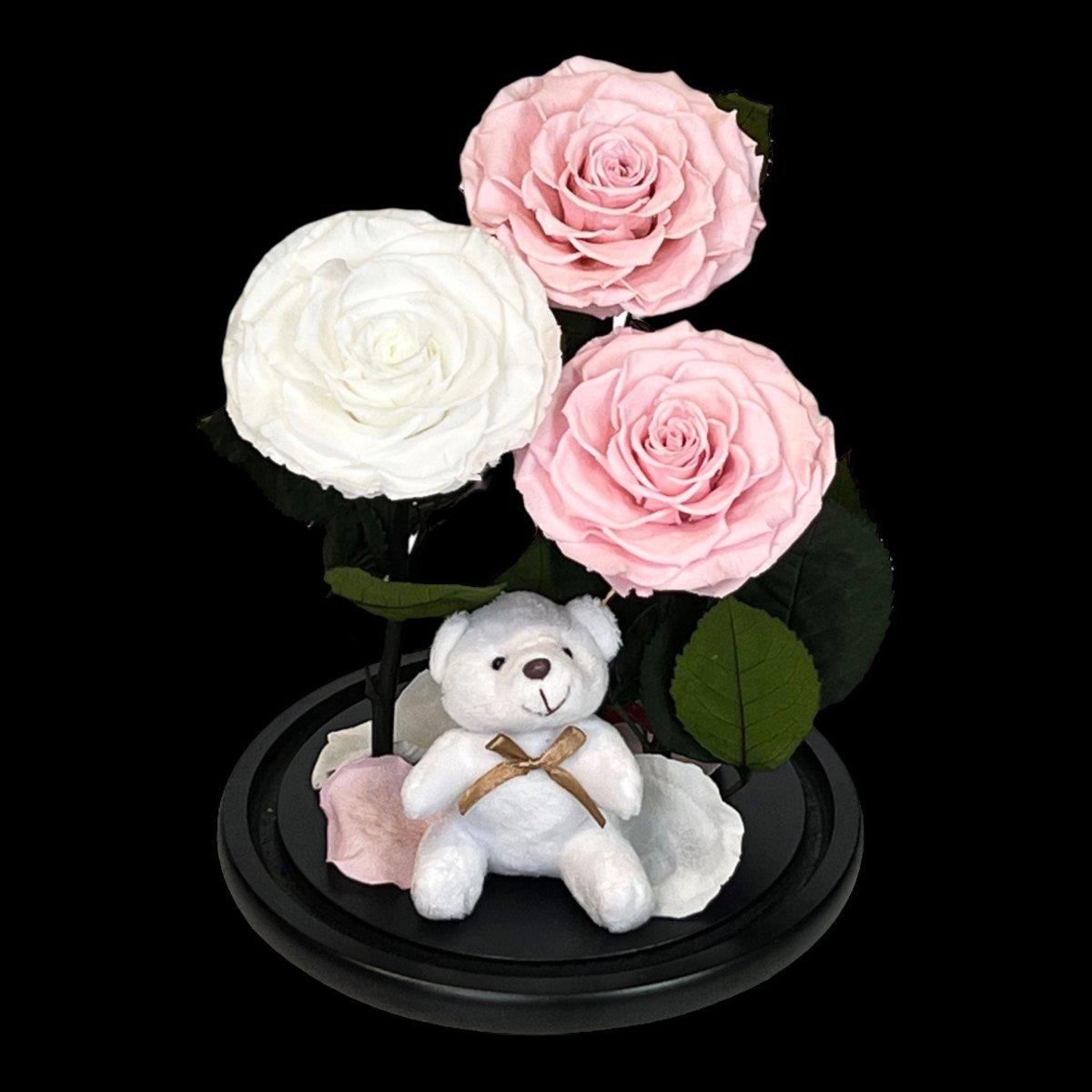 Trandafiri Criogenati În Cupolă De Sticlă Cu Ursuleț Plush 2 Roz Pal 1 Alb - Trandafir - Criogenat.ro
