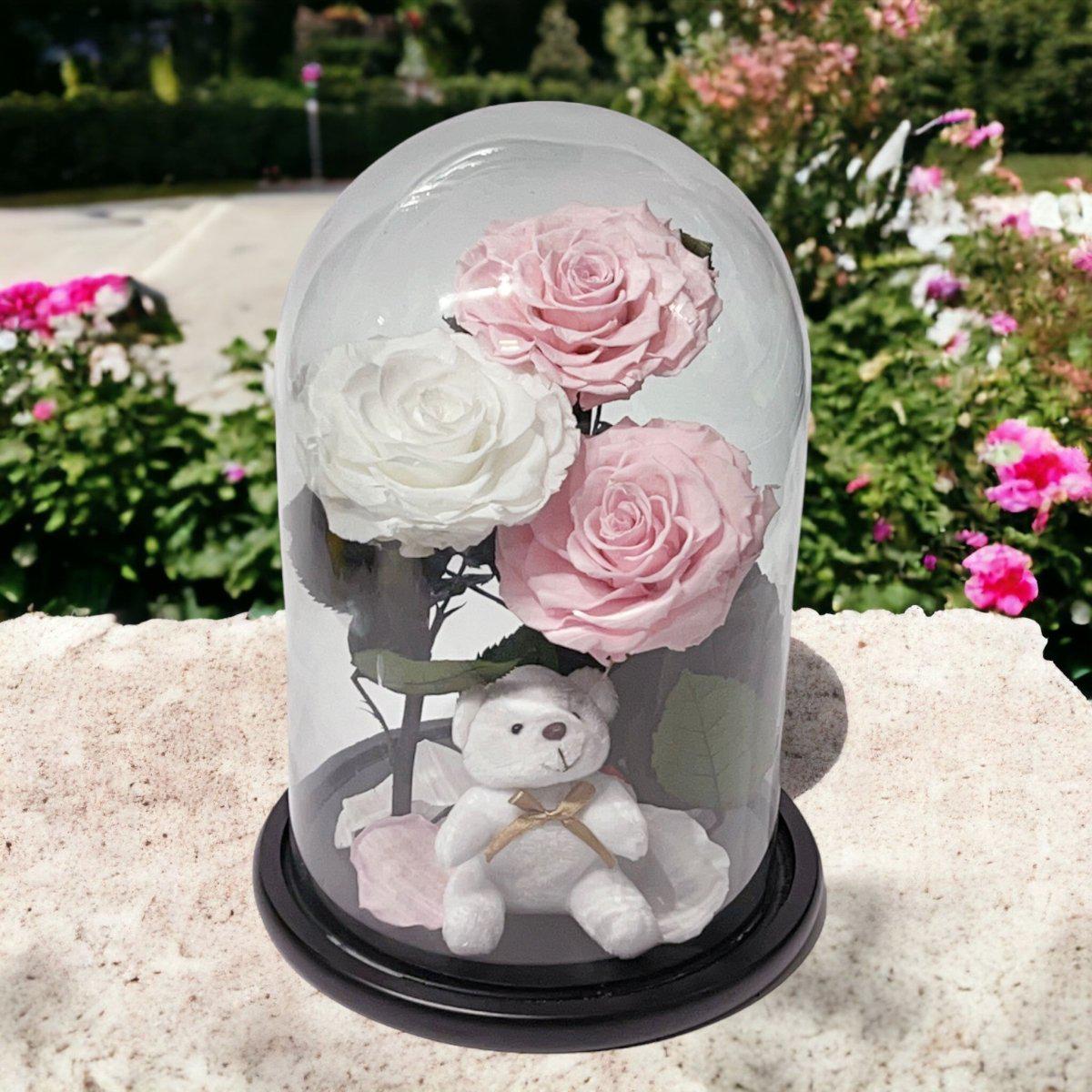 Trandafiri Criogenati În Cupolă De Sticlă Cu Ursuleț Plush 2 Roz Pal 1 Alb - Trandafir - Criogenat.ro
