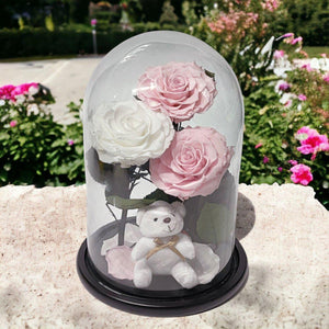 Trandafiri Criogenati În Cupolă De Sticlă Cu Ursuleț Plush 2 Roz Pal 1 Alb - Trandafir - Criogenat.ro