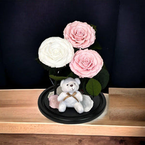 Trandafiri Criogenati În Cupolă De Sticlă Cu Ursuleț Plush 2 Roz Pal 1 Alb - Trandafir - Criogenat.ro