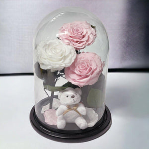 Trandafiri Criogenati În Cupolă De Sticlă Cu Ursuleț Plush 2 Roz Pal 1 Alb - Trandafir - Criogenat.ro