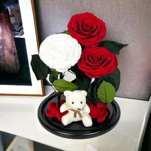 Trandafiri Criogenati Magnifici In Cupolă De Sticlă Cu 3 Flori 2 Roșii Și 1 Alb - Trandafir - Criogenat.ro