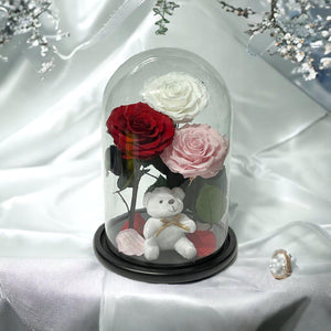 Trandafiri Criogenati XXL În Cupolă Elegantă De Sticlă Alb Roșu Roz Pal - Trandafir - Criogenat.ro