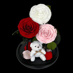 Trandafiri Criogenati XXL În Cupolă Elegantă De Sticlă Alb Roșu Roz Pal - Trandafir - Criogenat.ro