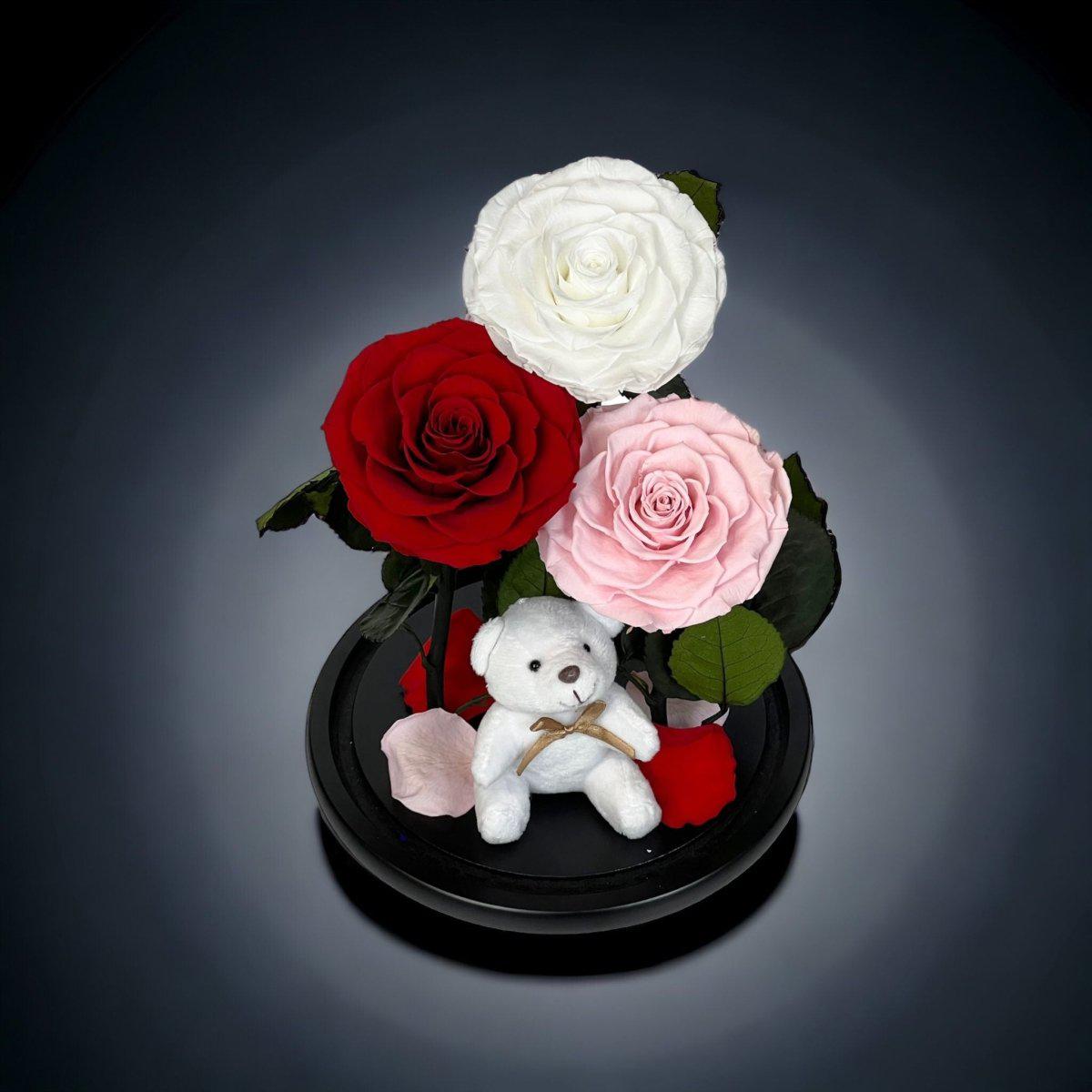 Trandafiri Criogenati XXL În Cupolă Elegantă De Sticlă Alb Roșu Roz Pal - Trandafir - Criogenat.ro