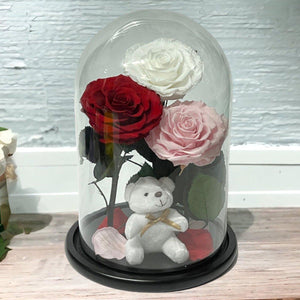 Trandafiri Criogenati XXL În Cupolă Elegantă De Sticlă Alb Roșu Roz Pal - Trandafir - Criogenat.ro