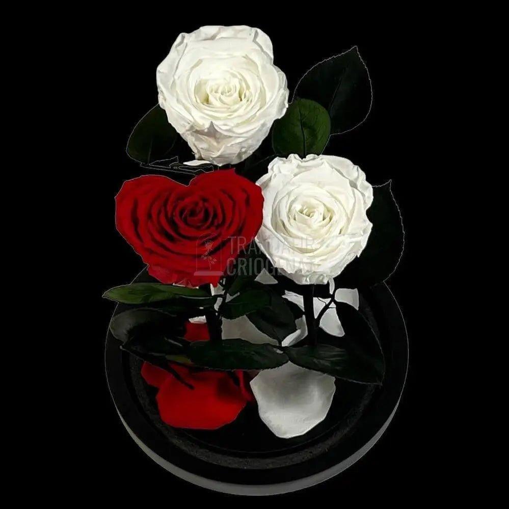 2 Trandafiri Criogenati albi, 1 trandafir rosu in forma de inima - Trandafir-Criogenat.ro