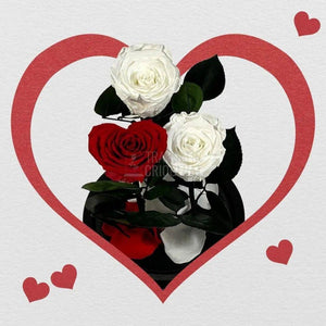 2 Trandafiri Criogenati albi, 1 trandafir rosu in forma de inima - Trandafir-Criogenat.ro