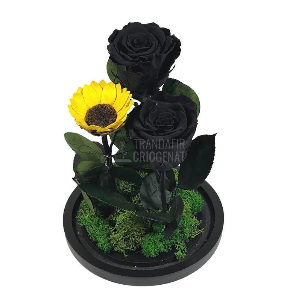 2 Trandafiri Criogenati negrii, 1 floarea soarelui, cupola sticla - Trandafir-Criogenat.ro