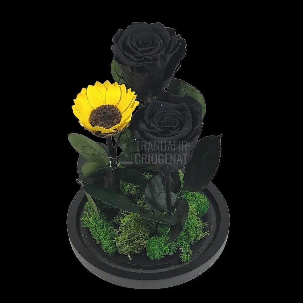 2 Trandafiri Criogenati negrii, 1 floarea soarelui, cupola sticla - Trandafir-Criogenat.ro
