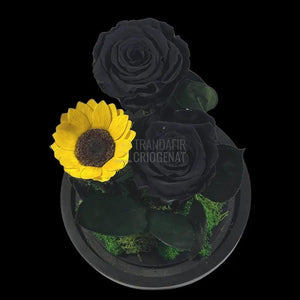 2 Trandafiri Criogenati negrii, 1 floarea soarelui, cupola sticla - Trandafir-Criogenat.ro