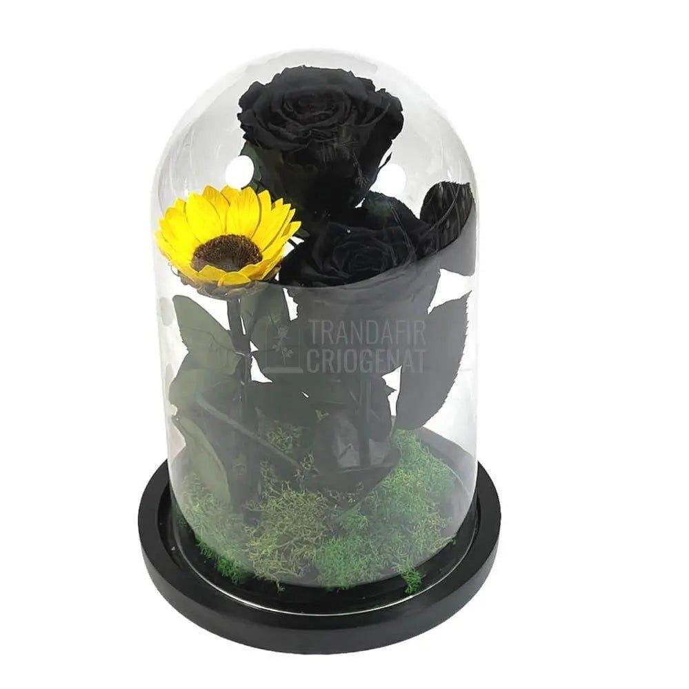 2 Trandafiri Criogenati negrii, 1 floarea soarelui, cupola sticla - Trandafir-Criogenat.ro
