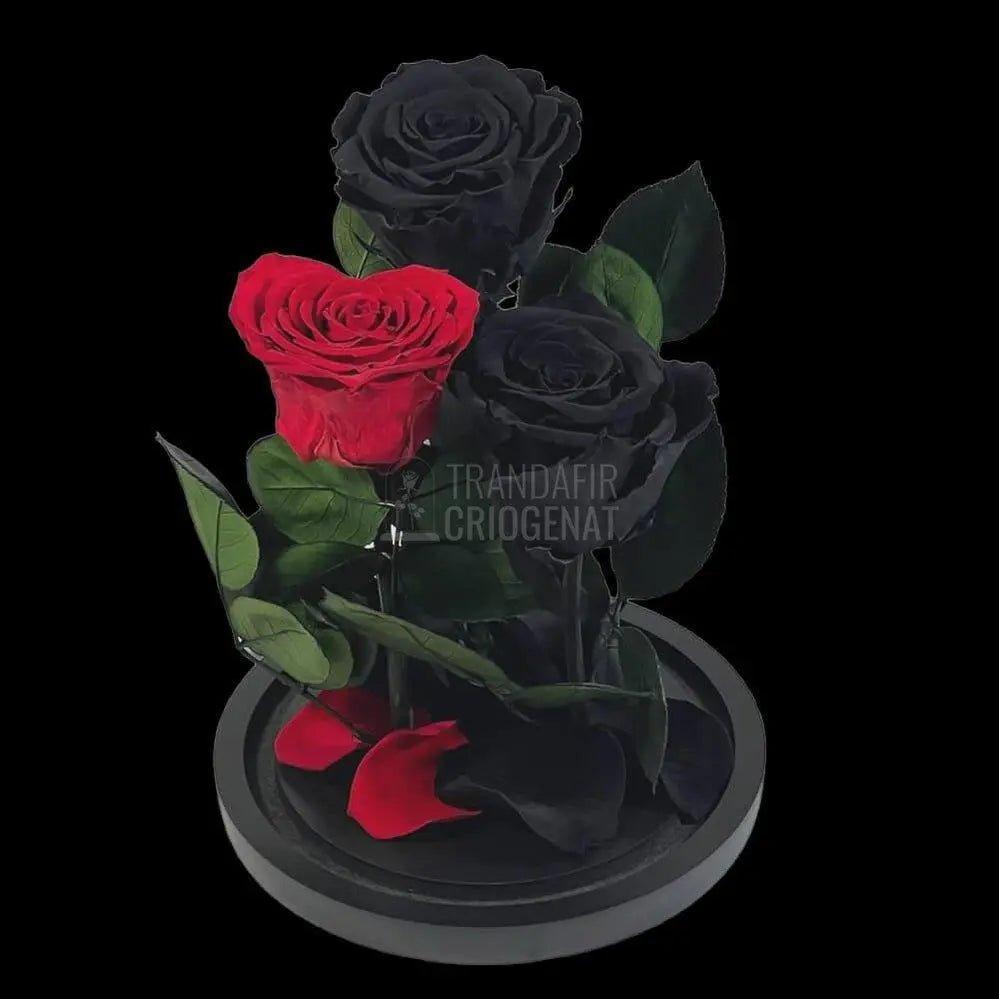 2 Trandafiri Criogenati negrii, 1 trandafir rosu cu forma inima - Trandafir-Criogenat.ro