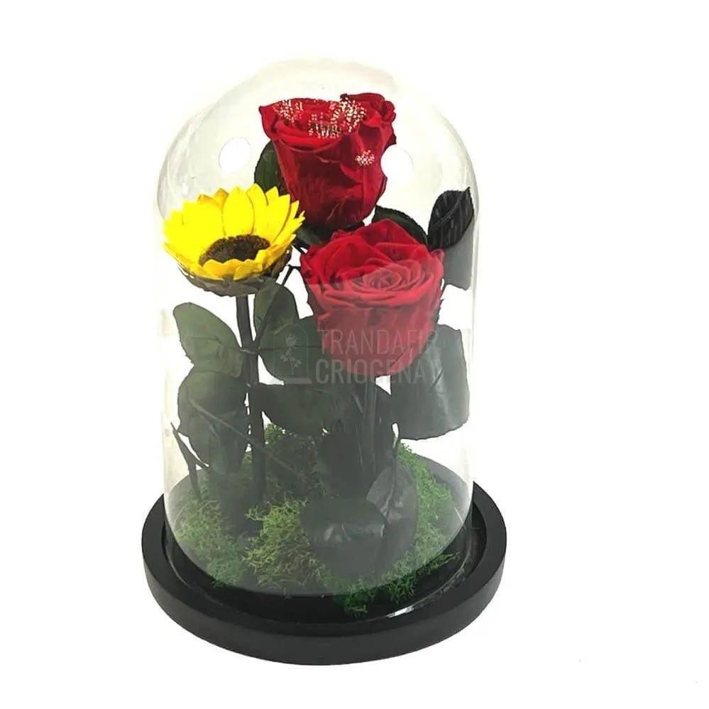 2 Trandafiri Criogenati rosii, 1 floarea soarelui, cupola 15x25cm - Trandafir-Criogenat.ro
