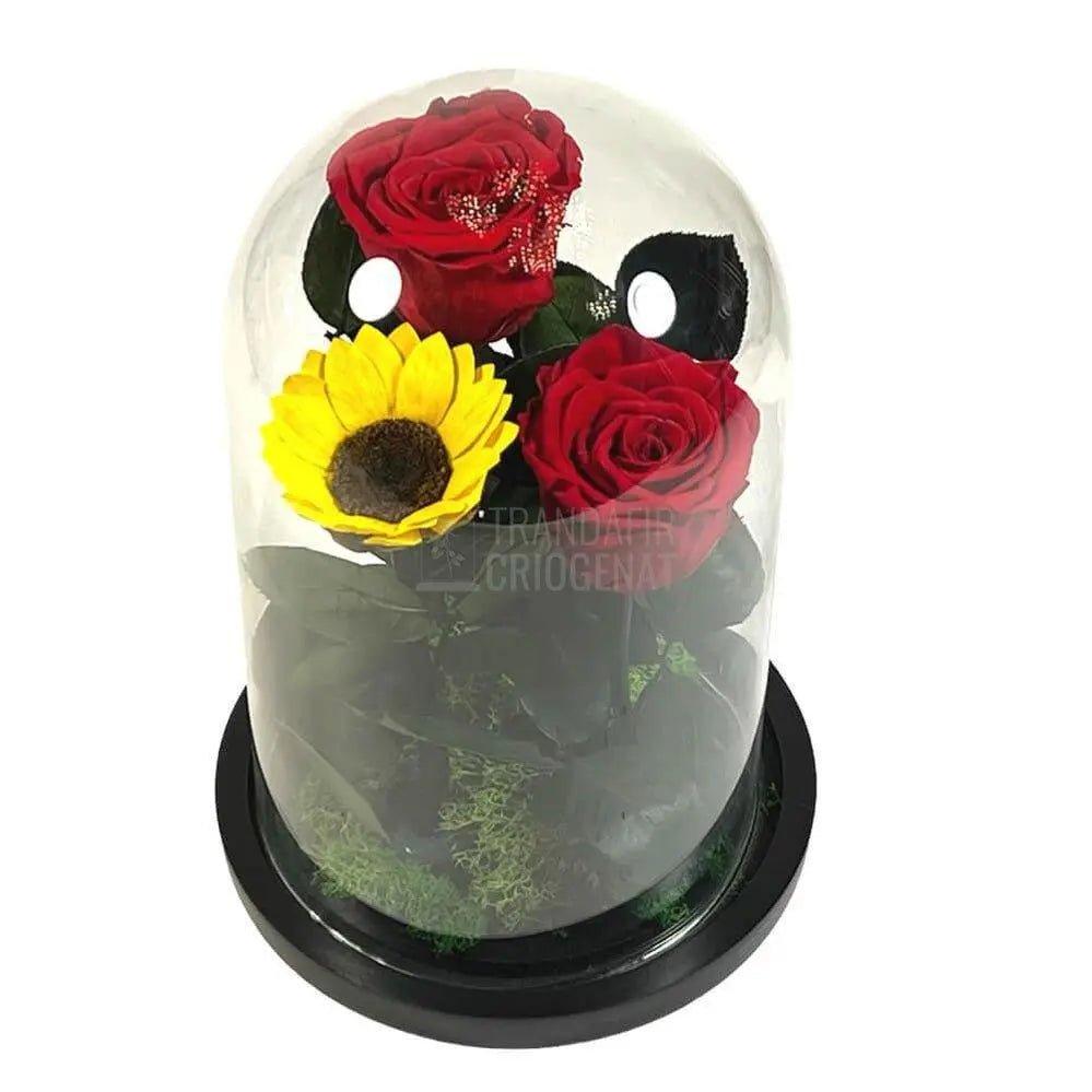 2 Trandafiri Criogenati rosii, 1 floarea soarelui, cupola 15x25cm - Trandafir-Criogenat.ro