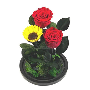 2 Trandafiri Criogenati rosii, 1 floarea soarelui, cupola 15x25cm - Trandafir-Criogenat.ro