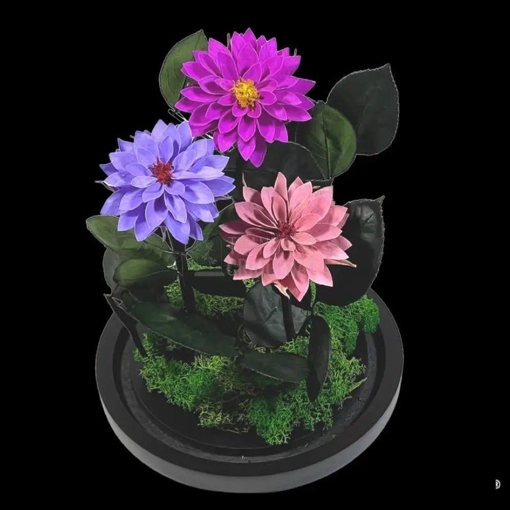 3 Dalii Criogenate mov, purpuriu, mov-pudrat in cupola de sticla - Trandafir-Criogenat.ro