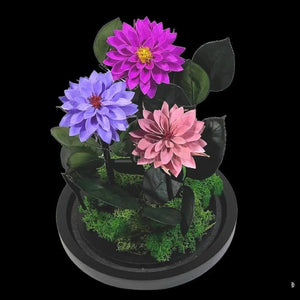 3 Dalii Criogenate mov, purpuriu, mov-pudrat in cupola de sticla - Trandafir-Criogenat.ro