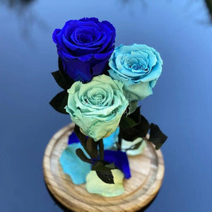 3 Trandafiri bleu, albastru, turcoaz Ø6,5cm, cupola 15x25cm - Trandafir-Criogenat.ro