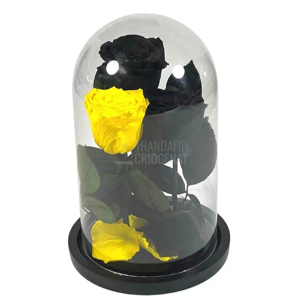 3 Trandafiri Criogenati, 2 negrii si 1 galben, in cupola sticla - Trandafir-Criogenat.ro