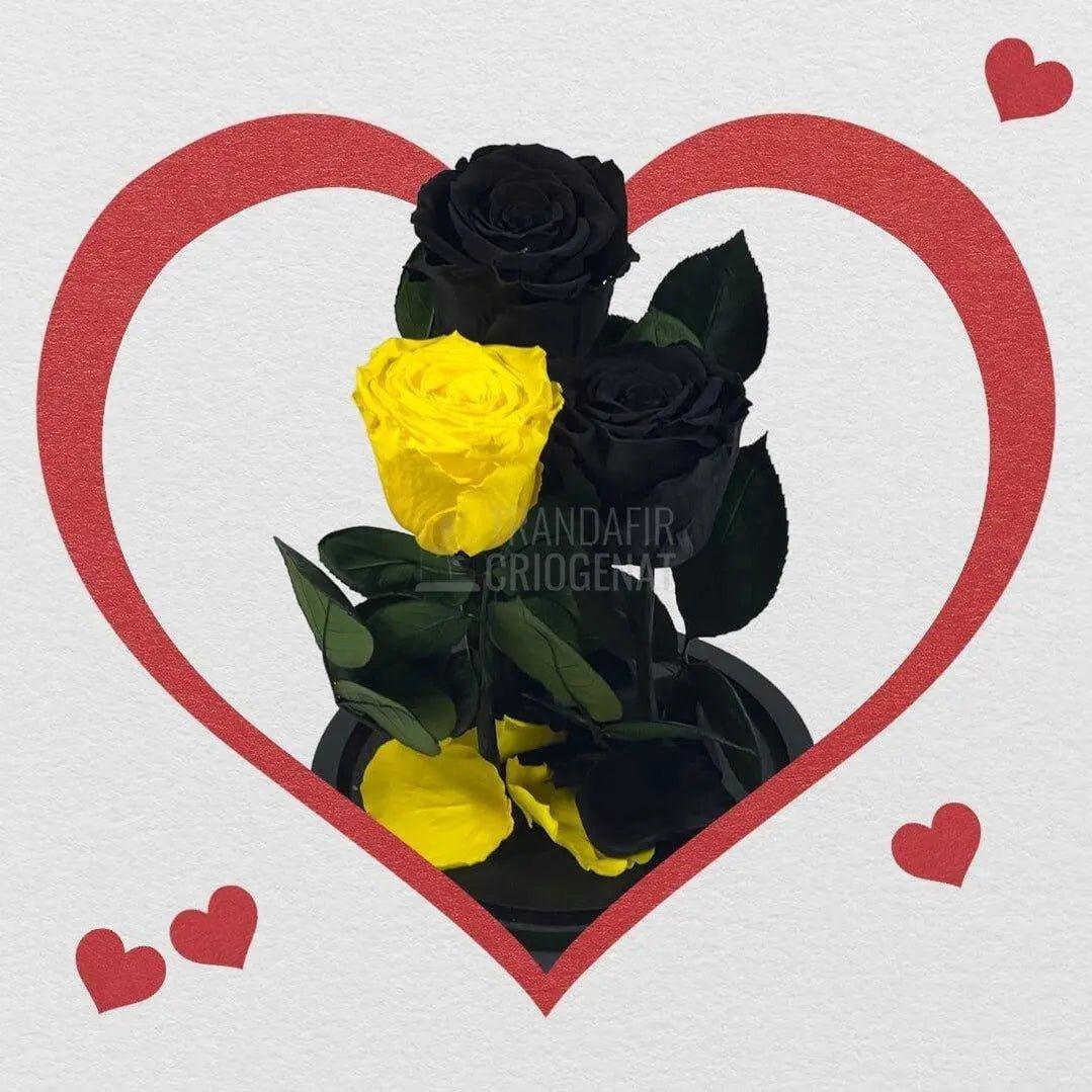 3 Trandafiri Criogenati, 2 negrii si 1 galben, in cupola sticla - Trandafir-Criogenat.ro